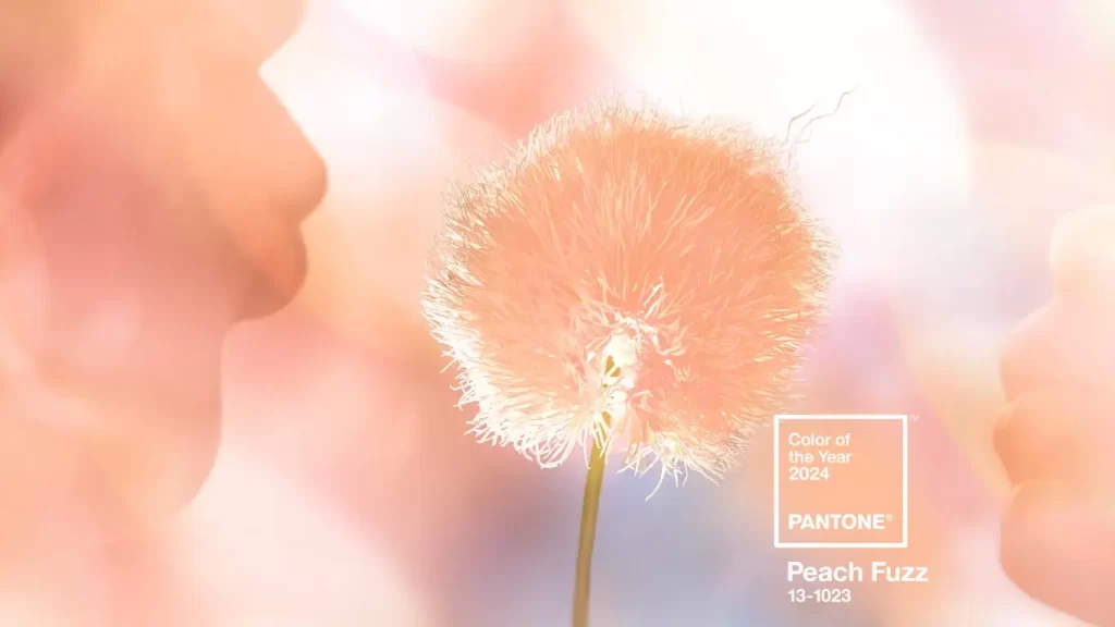 Pantone peach fuzz - colori tendenza 2024